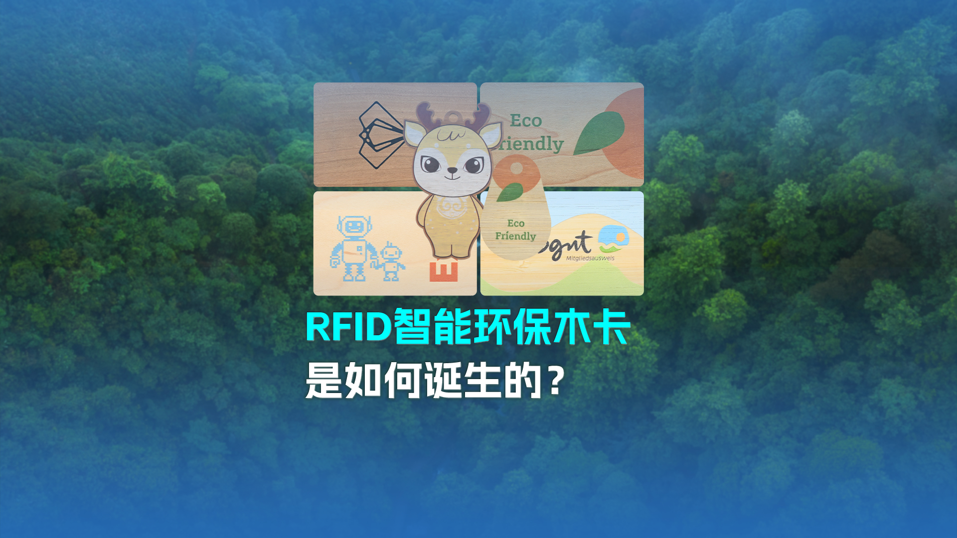 带你走进凯时集团RFID智能木卡工厂 接待宽大客户旅行交流指导