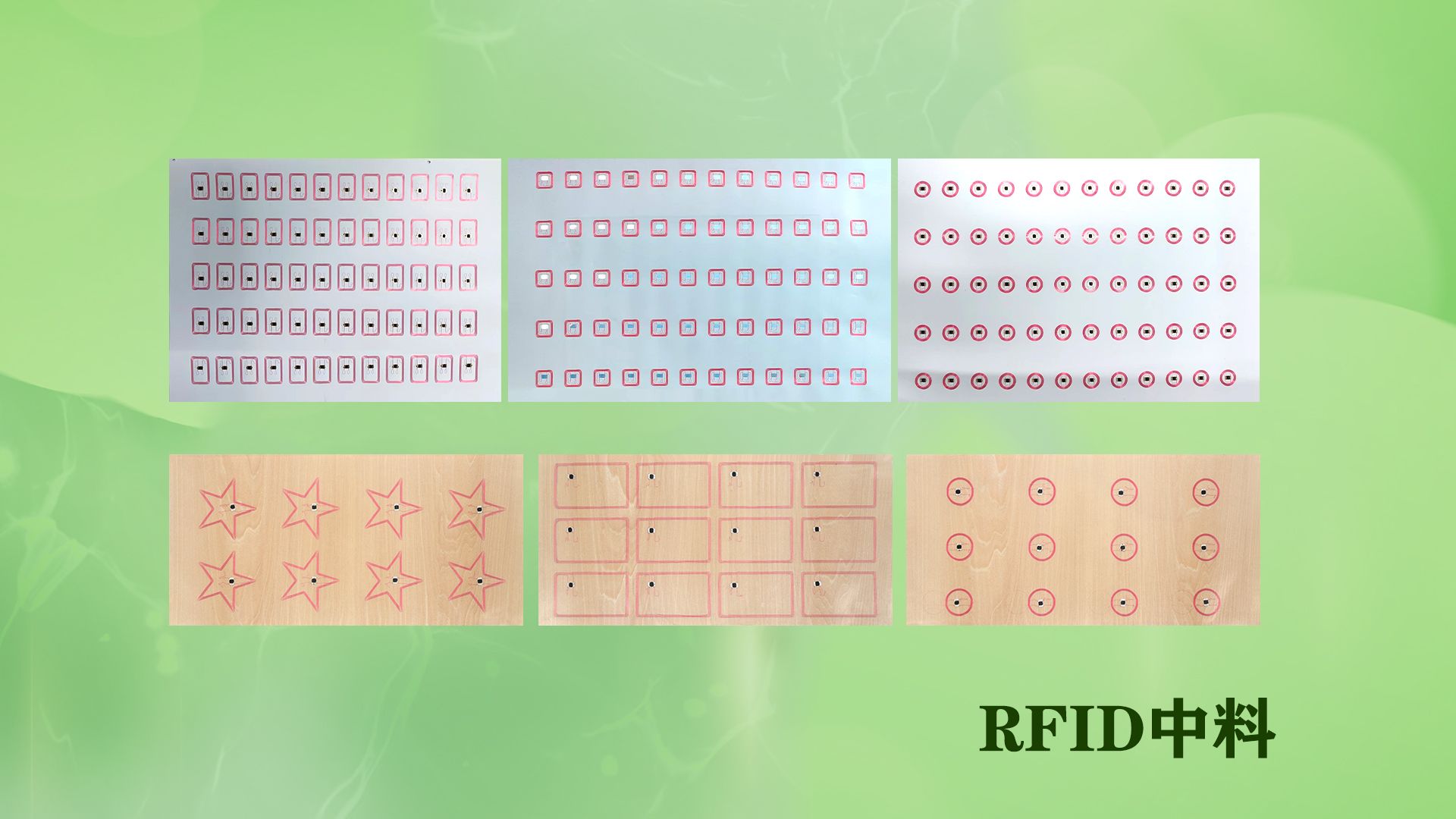微信图片_20250704114502